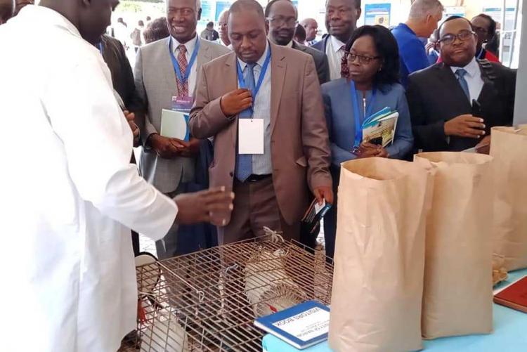 Chief Guest Prof. Hamadi and other guests at the exhibition tents