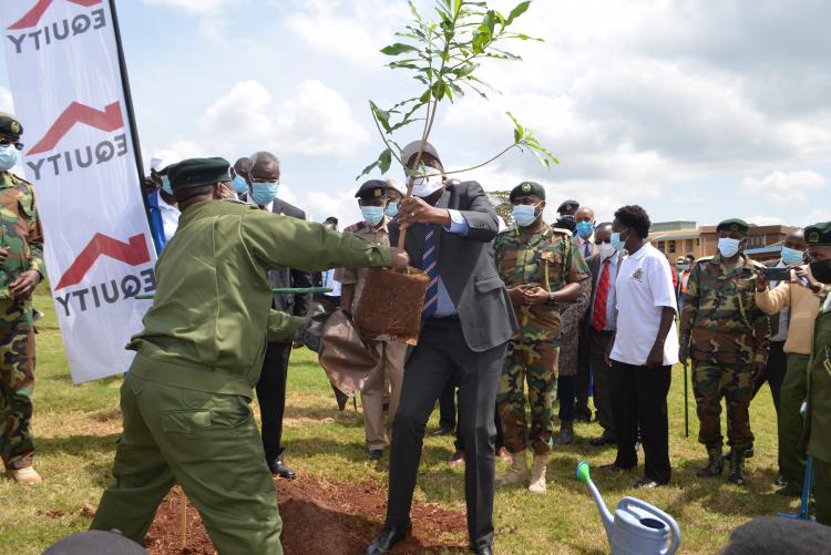 Tree planting