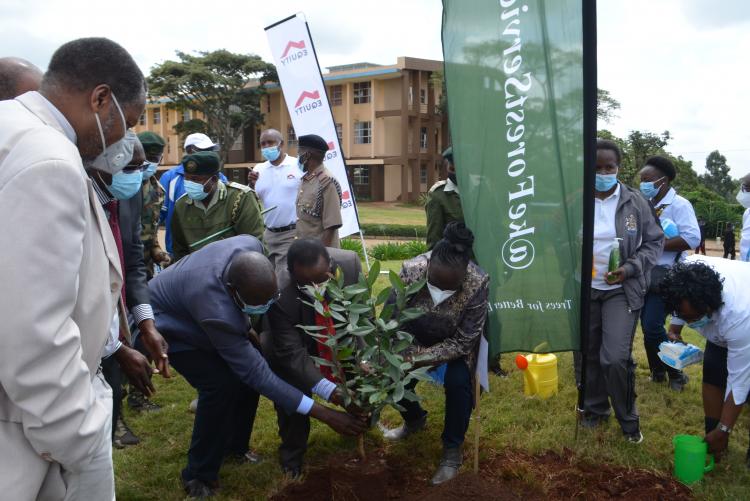 Tree planting6