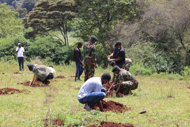 Tree planting11