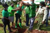 Tree planting