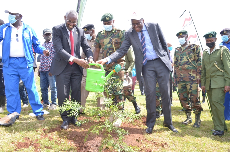 7 000 Trees Planted On Uon Grounds University Of Nairobi