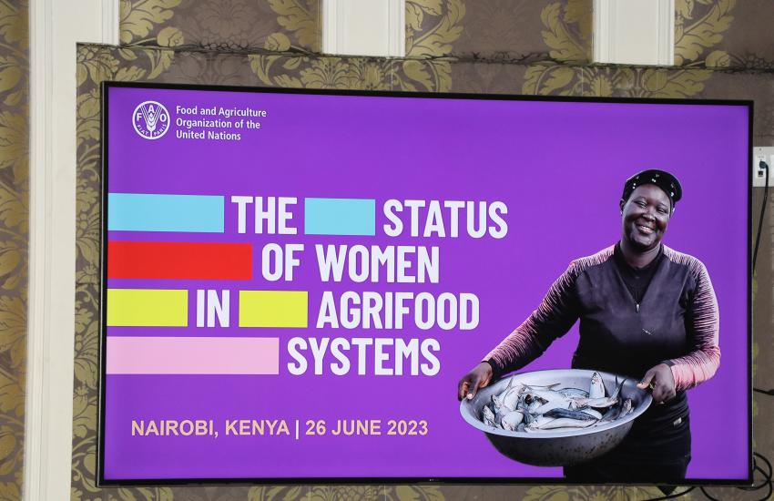 screen image of the report's title 