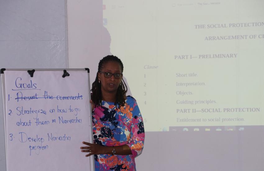 Presentation of goals and objectives of the working session