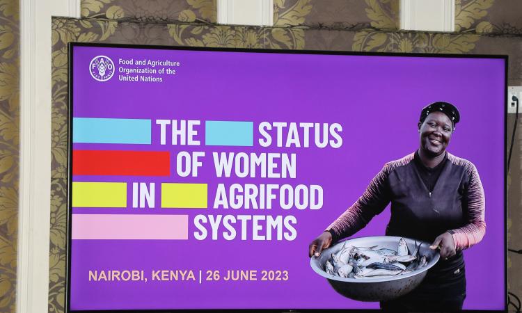 screen image of the report's title 