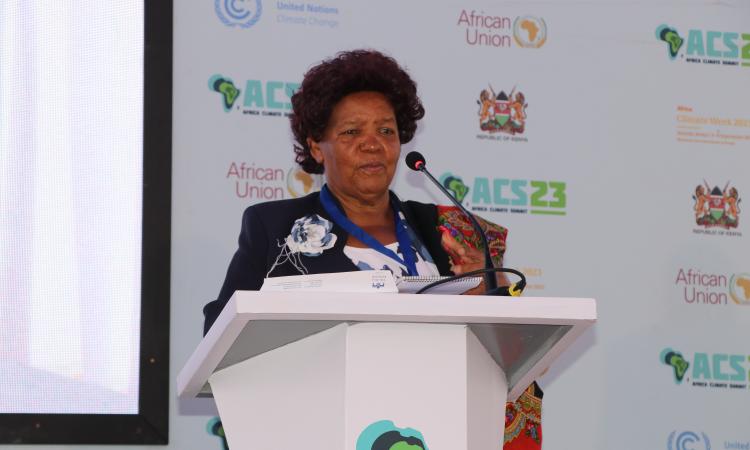 WEE Hub Leader Prof Wanjiku Kabira at AWSC Side Event during the Africa Climate Summit 2023
