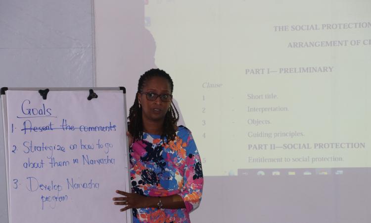 Presentation of goals and objectives of the working session