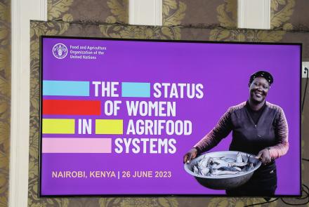 screen image of the report's title 